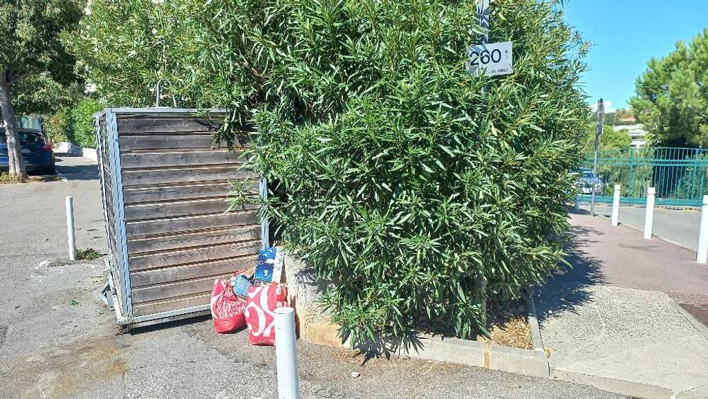 Dépôt sauvage de sacs poubelles