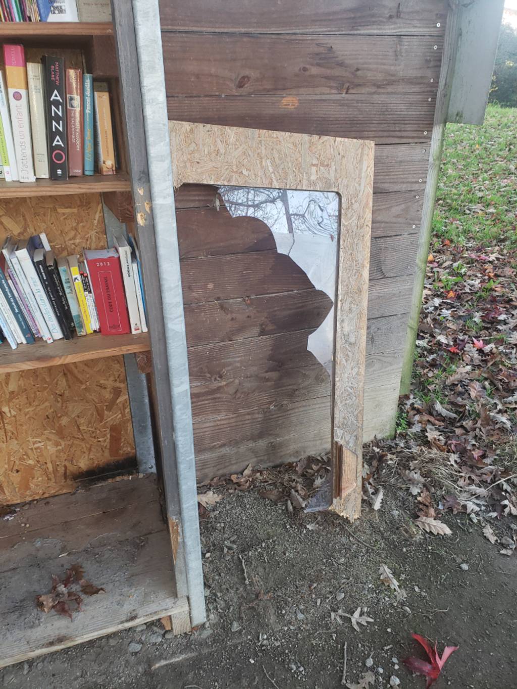 Photo 3 - Boîte à livres dégradée