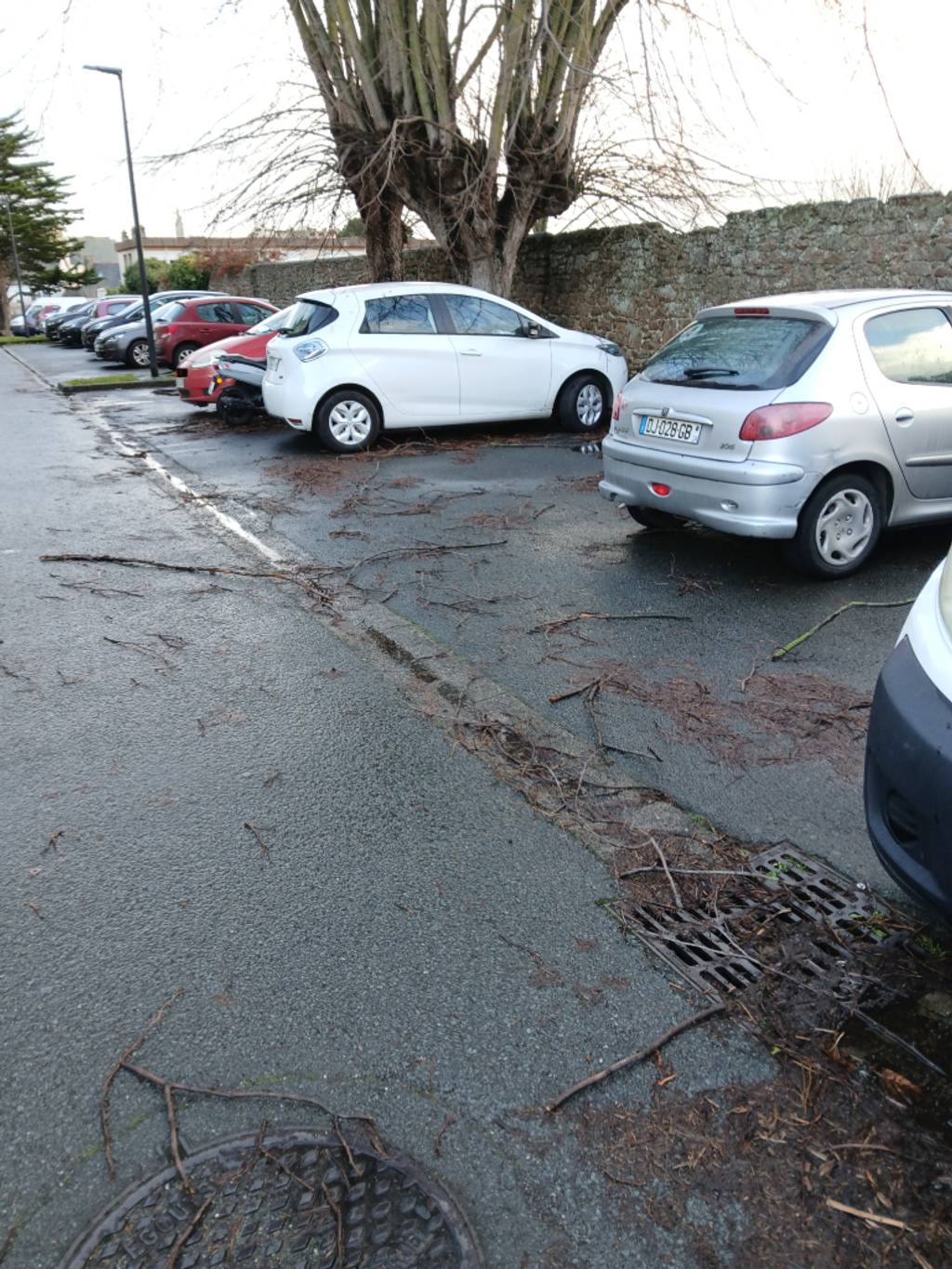Photo 3 - Branches encombrant parking