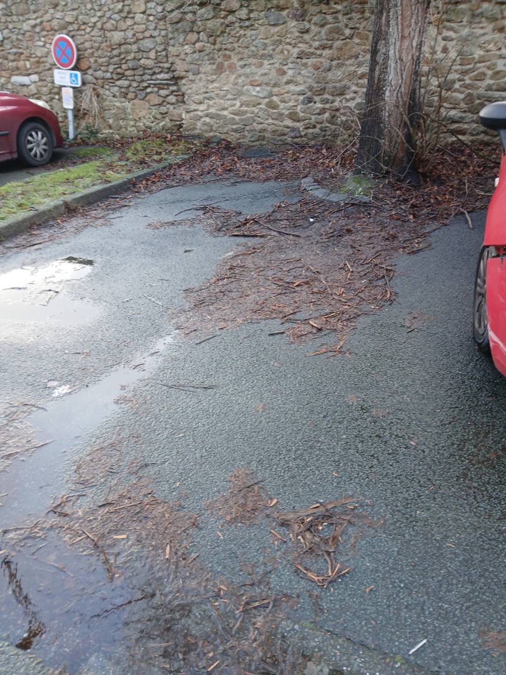 Photo 2 - Branches encombrant parking