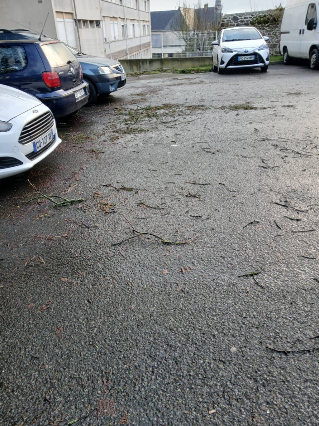 Branches encombrant parking