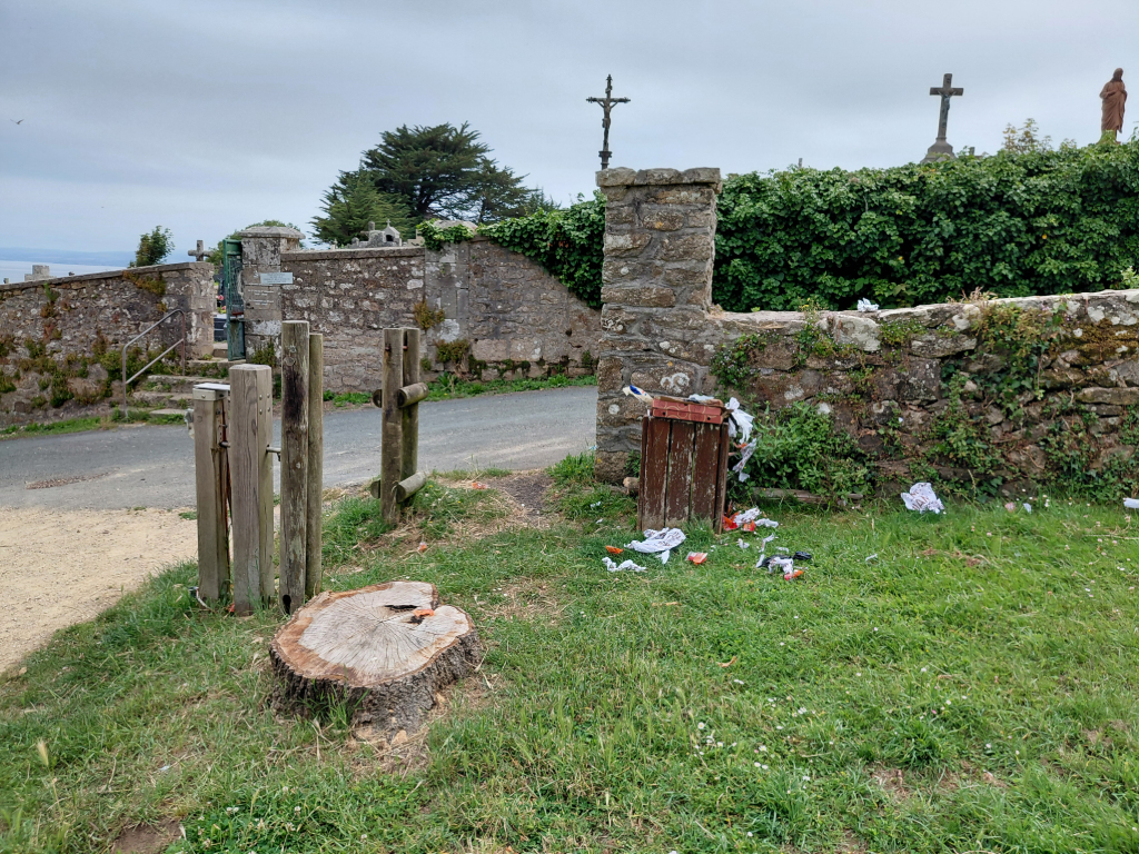 Photo 2 - Poubelle débordante