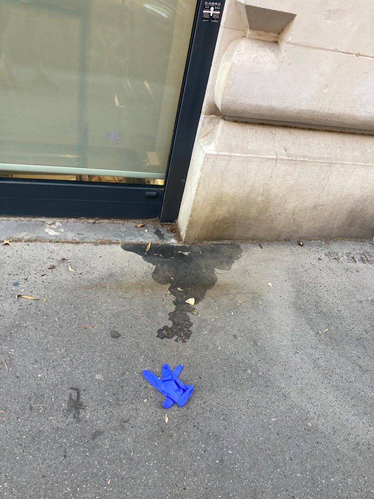Photo 5 - Trottoirs souillés par urine