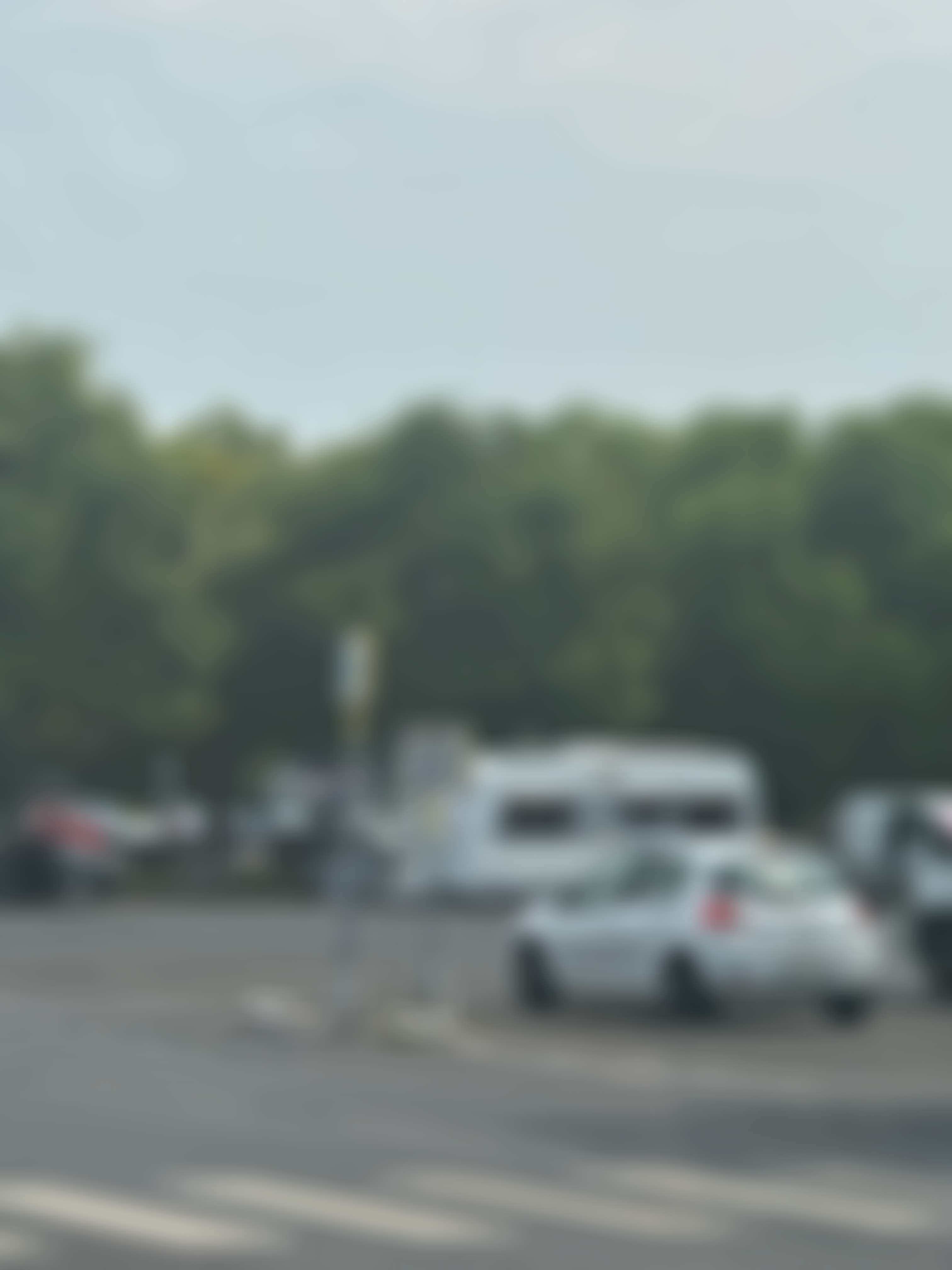 Signalement Stationnement véhicules non réglementé