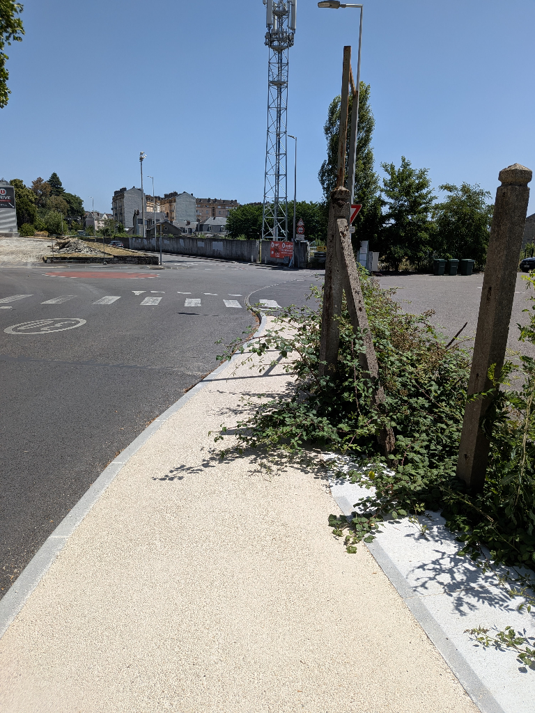 Végétation envahissant trottoir