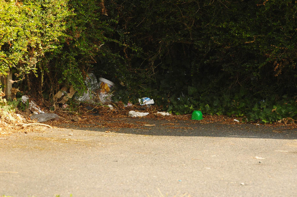 Dépôts sauvages de déchets