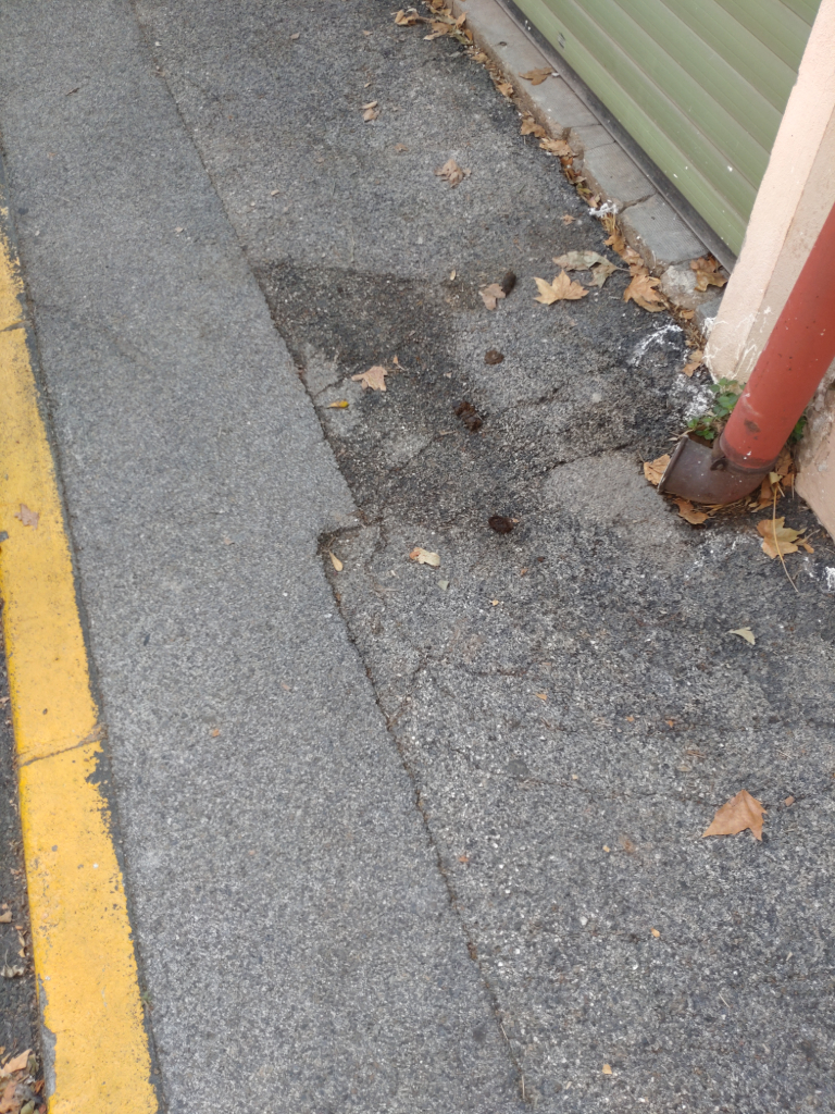 Photo 4 - Déjections canines trottoir