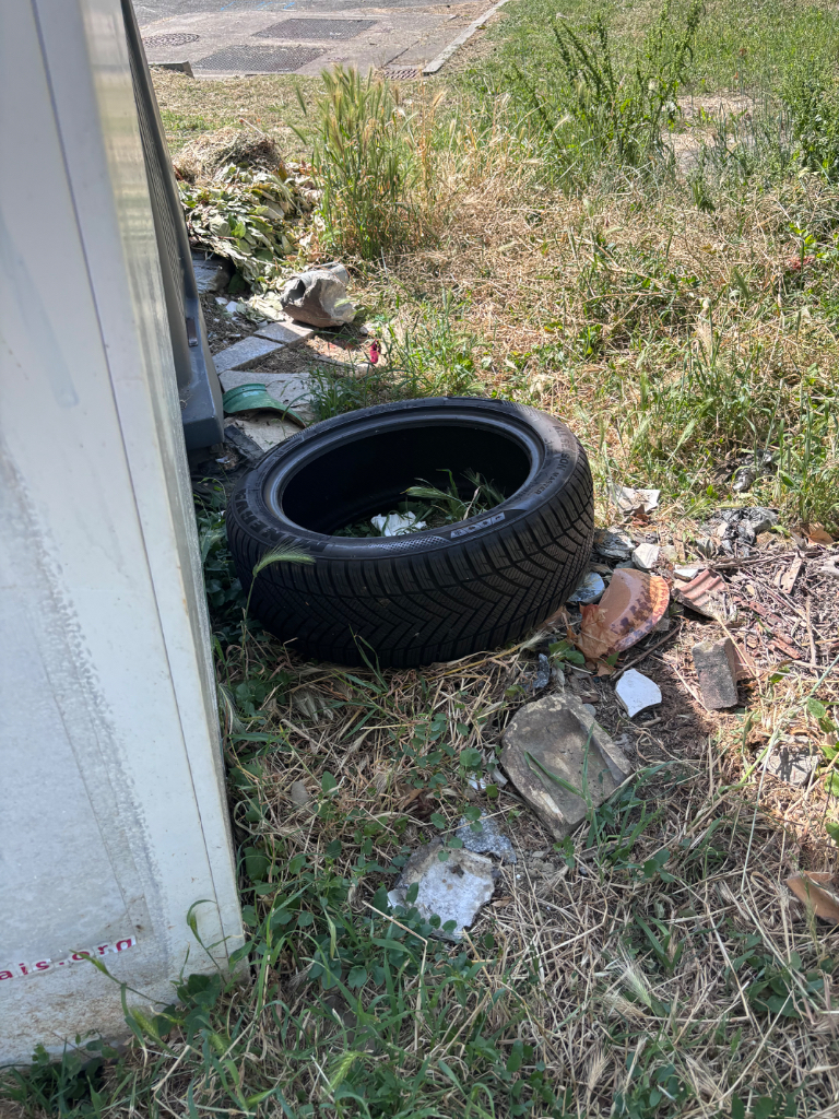 Déchet pneu abandonné