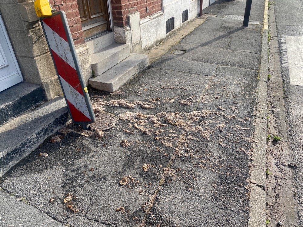 Déversement eaux usées égout