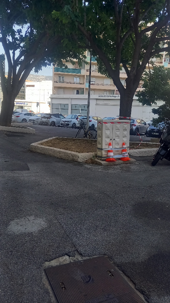 Photo 2 - Déjections canines dans espaces verts