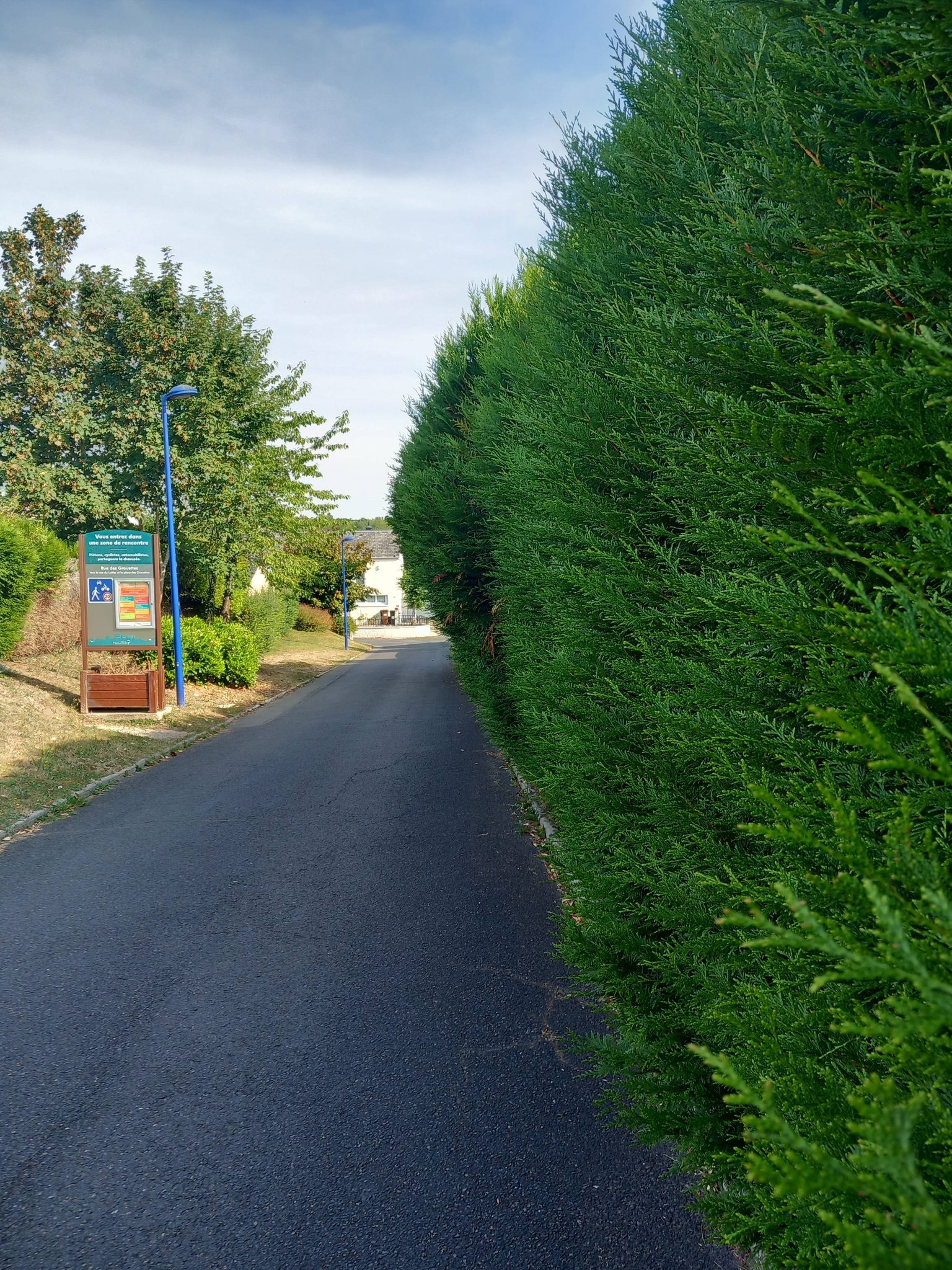 Signalement Haies débordantes