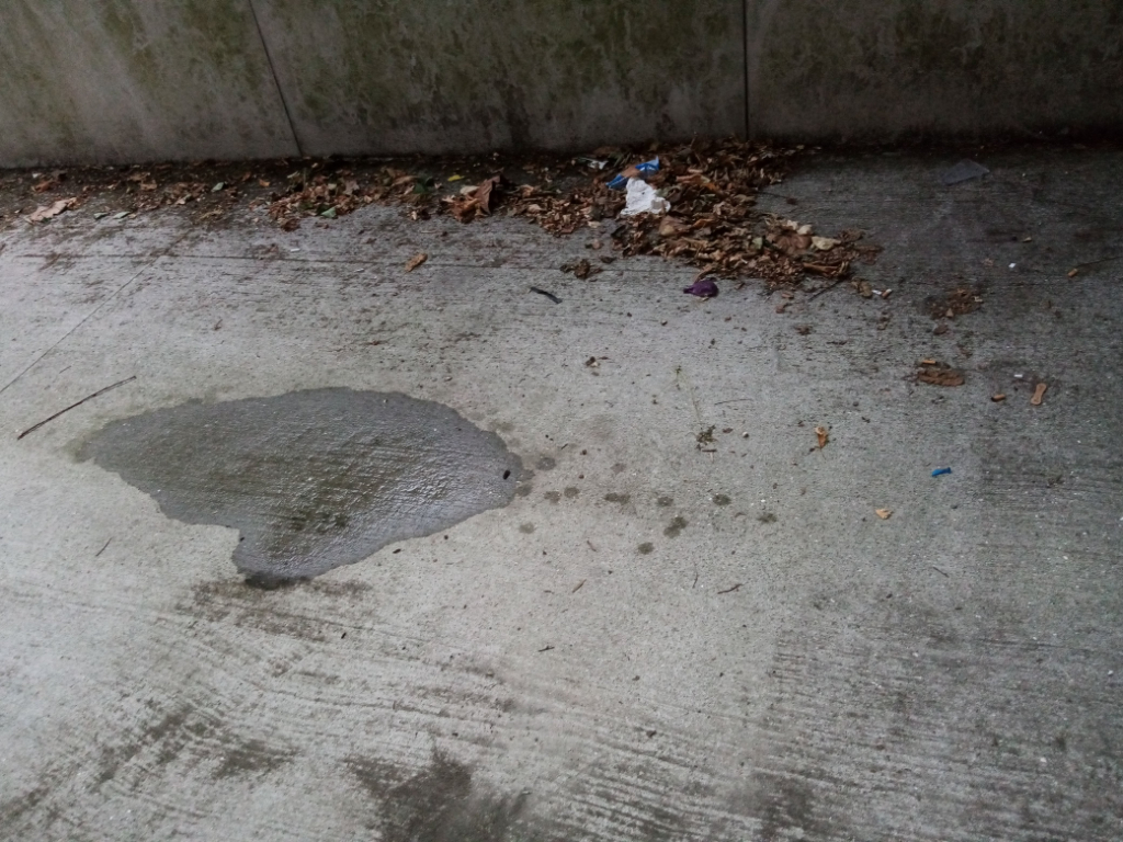 Photo 3 - Urine sur trottoirs