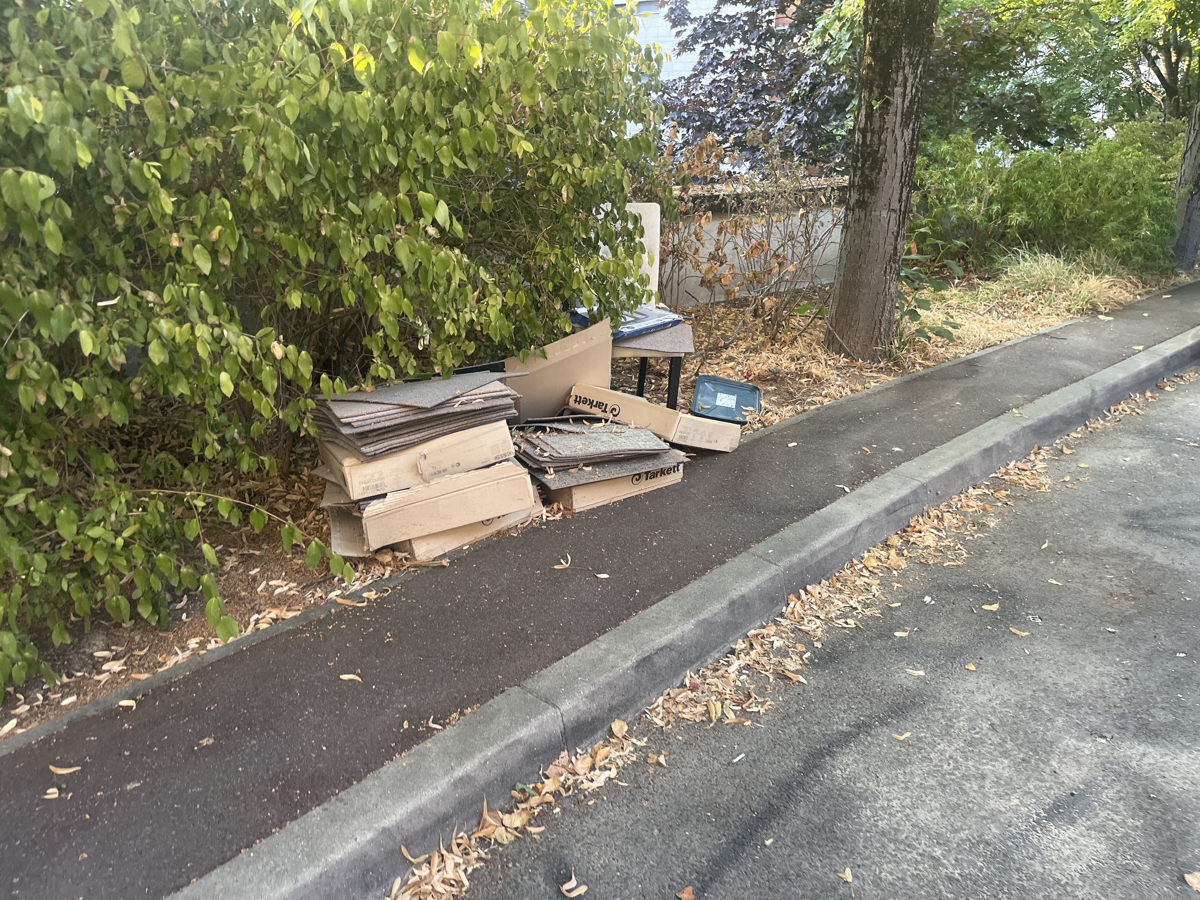 Signalement Déchets de rénovation moquette