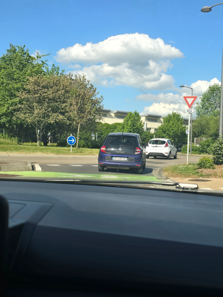Déchets jetés depuis un véhicule