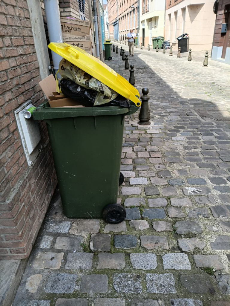 Containers de tri non collectés