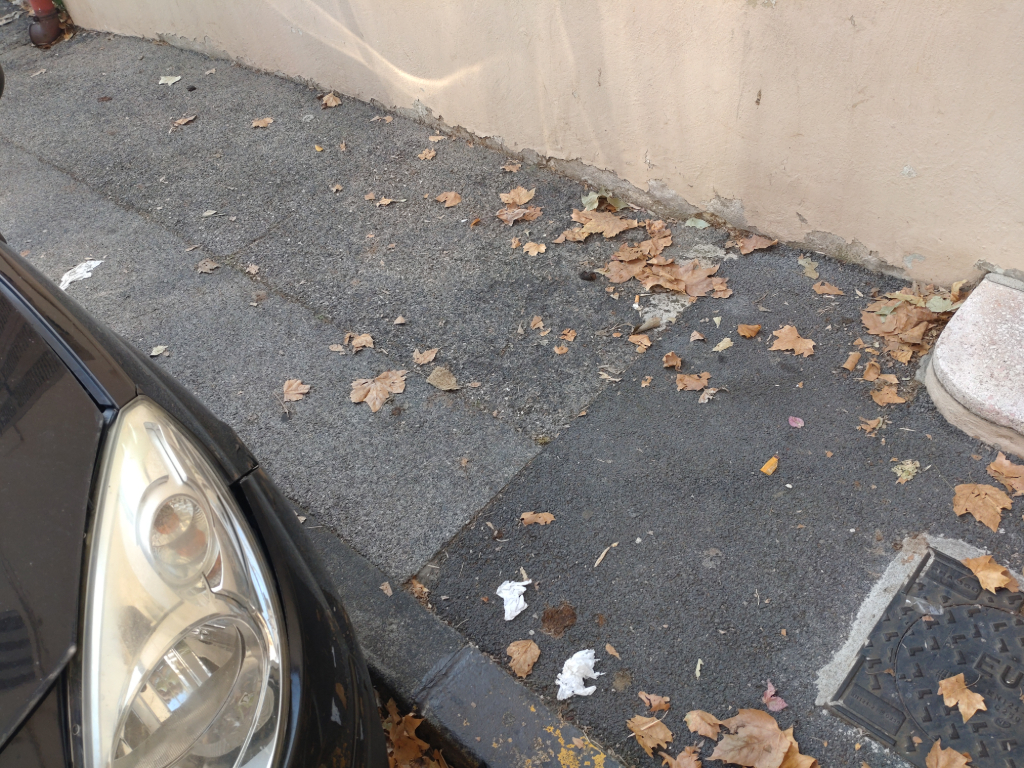 Photo 3 - Déjections canines trottoir