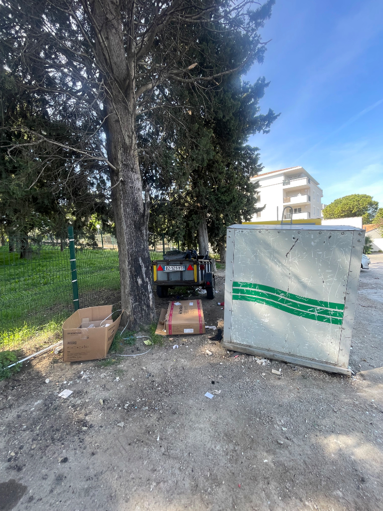 Photo 2 - Dépôts sauvages et remorque poubelle