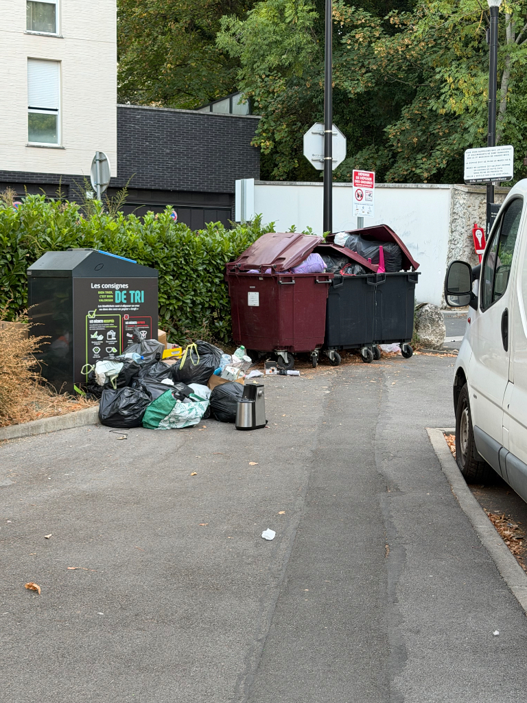 Signalement Accumulation de déchets sauvages