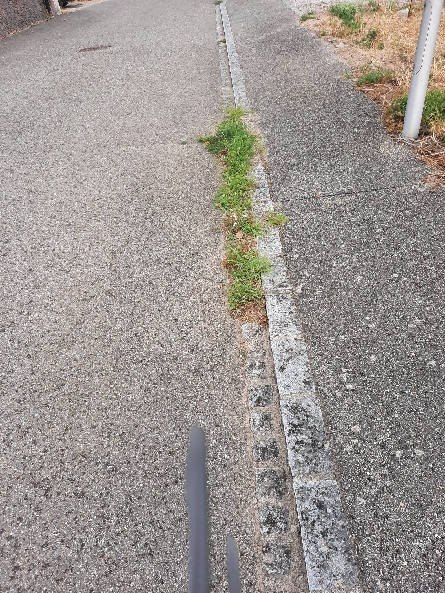 Signalement Fil d'eau à nettoyer