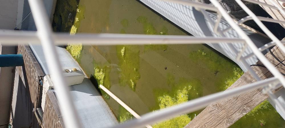 Eaux stagnantes dans piscines abandonnées