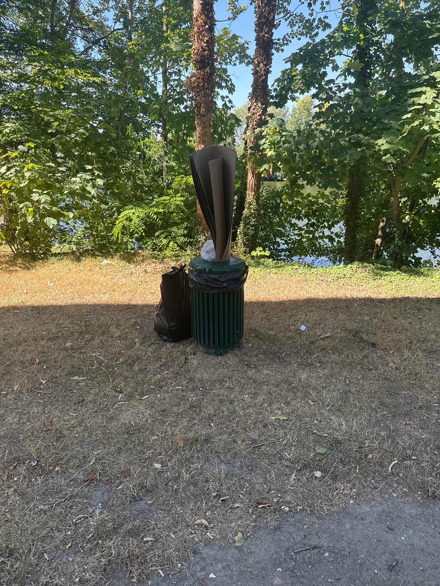 Signalement Poubelle débordante