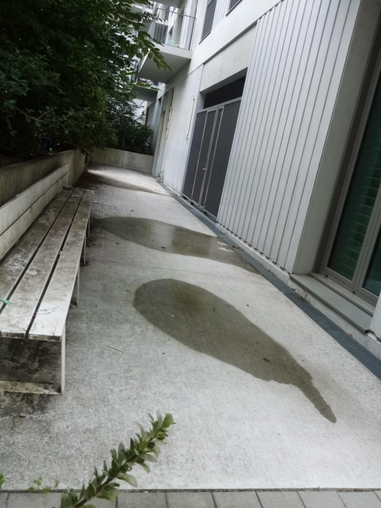 Photo 4 - Urine sur trottoirs
