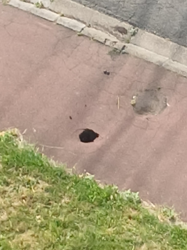 Dépôt de benne sur trottoir