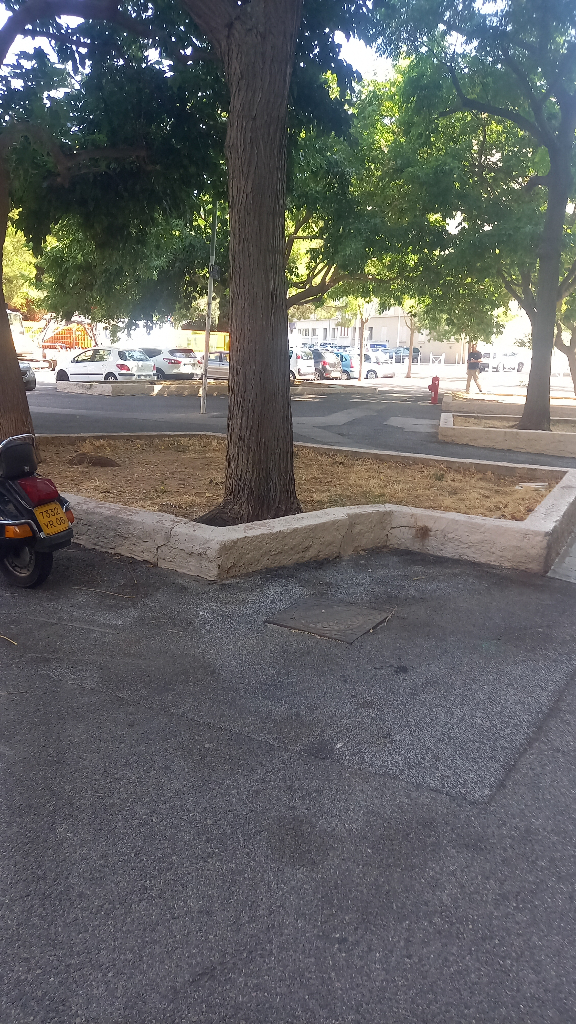 Signalement Déjections canines dans espaces verts