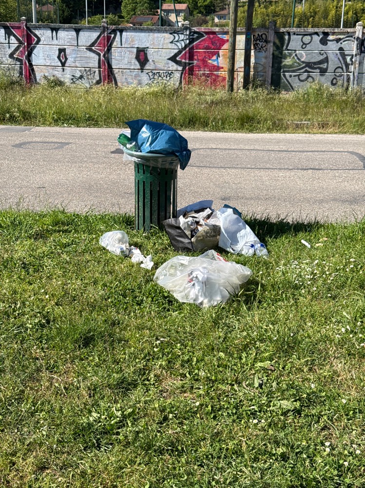 Poubelles pleines aire de barbecue