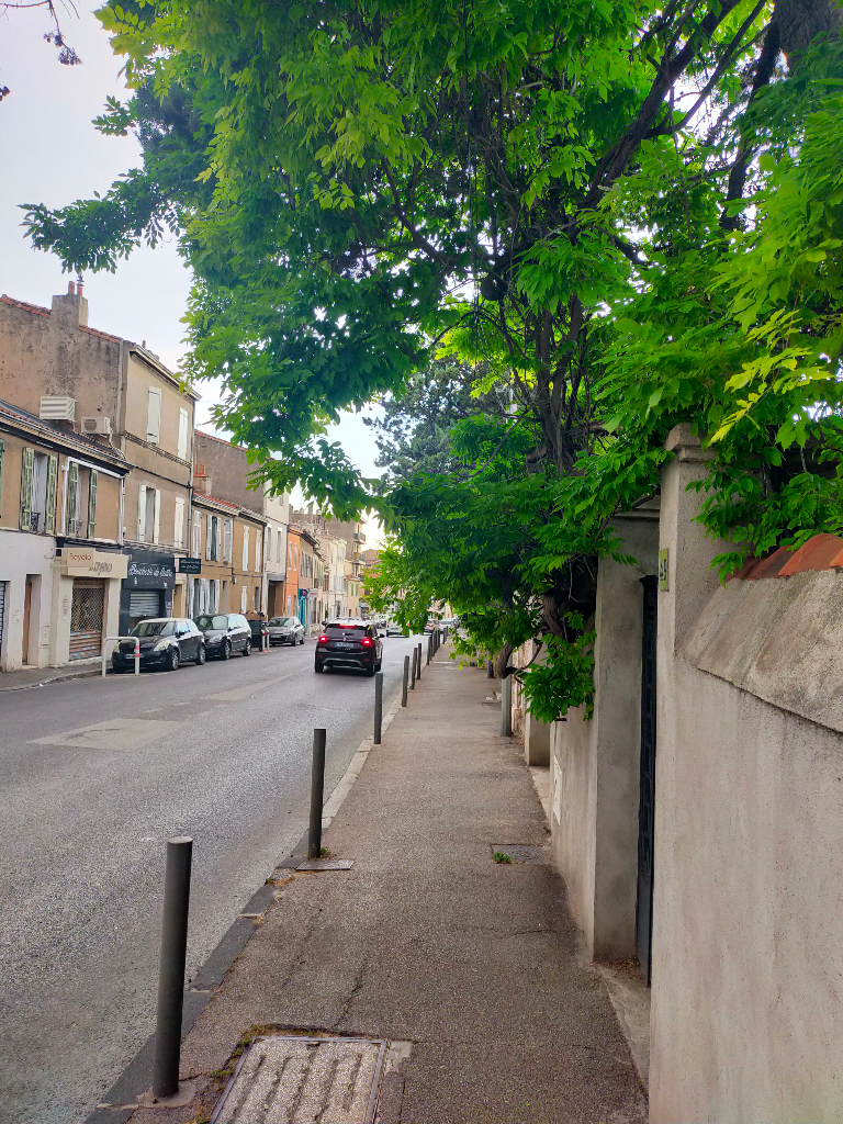 Arbres à élaguer