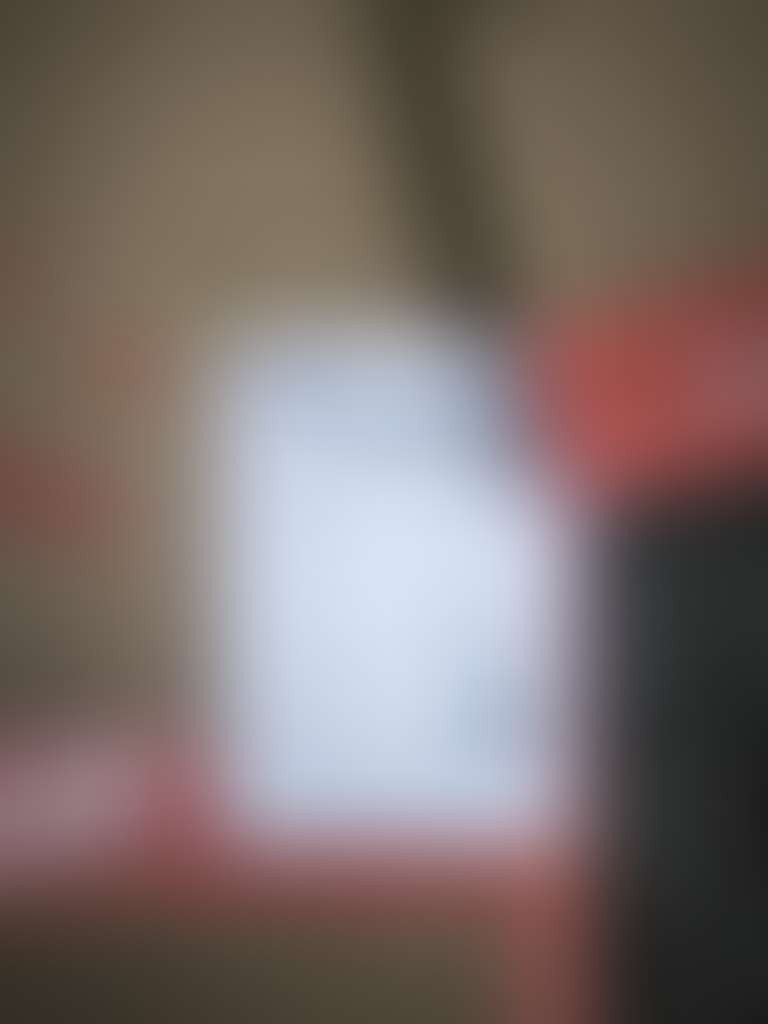 Photo 2 - Débordements de poubelles