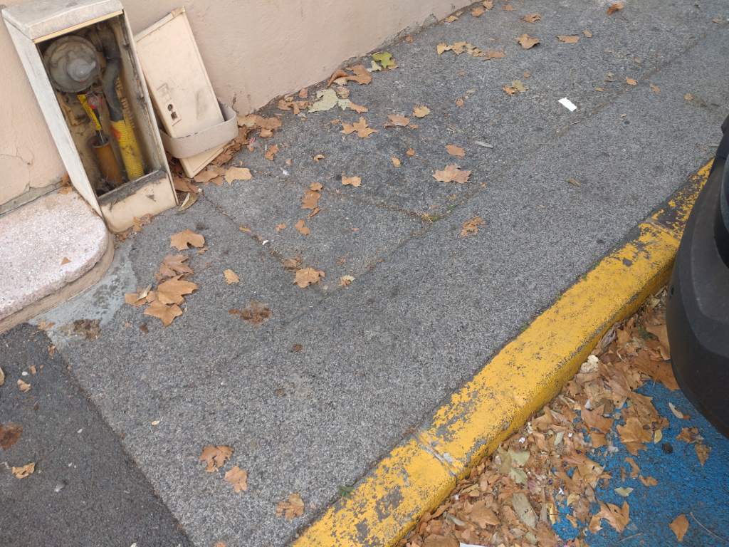 Photo 2 - Déjections canines trottoir