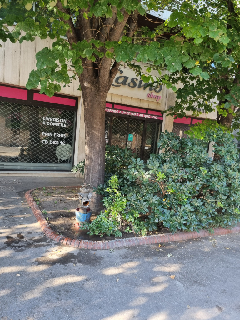 Photo 2 - Fuite sur borne incendie
